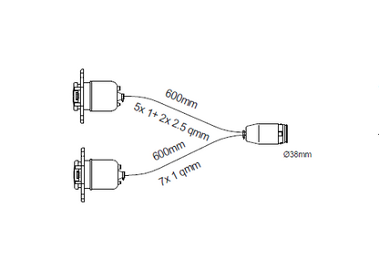 Aspoeck Front Y-Cable Inc S & N Sockets 58-6649-007